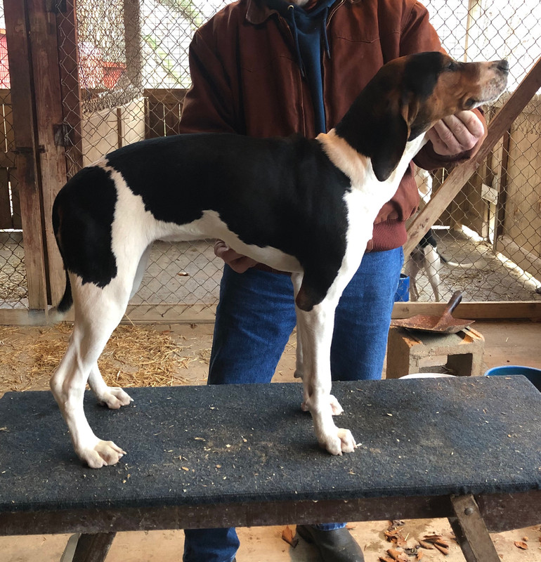 3EFD9188-D286-4802-B075-E6008BAC4A89