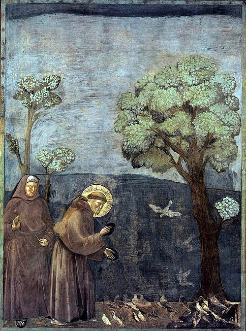 San Francesco predica agli uccelli nell’affresco di Giotto ad Assisi