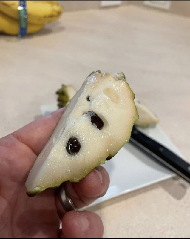 25B2919E-DA8B-4E56-ACBA-28167137985A