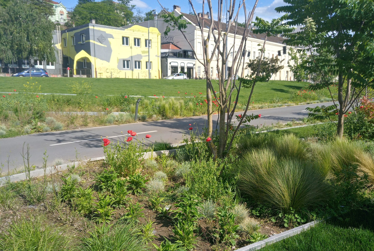 20210515_160149_HDR(1)