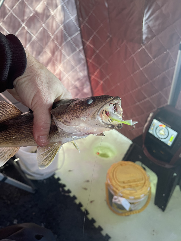 04F7A788-9BCB-40A8-BDB8-172935916AF4