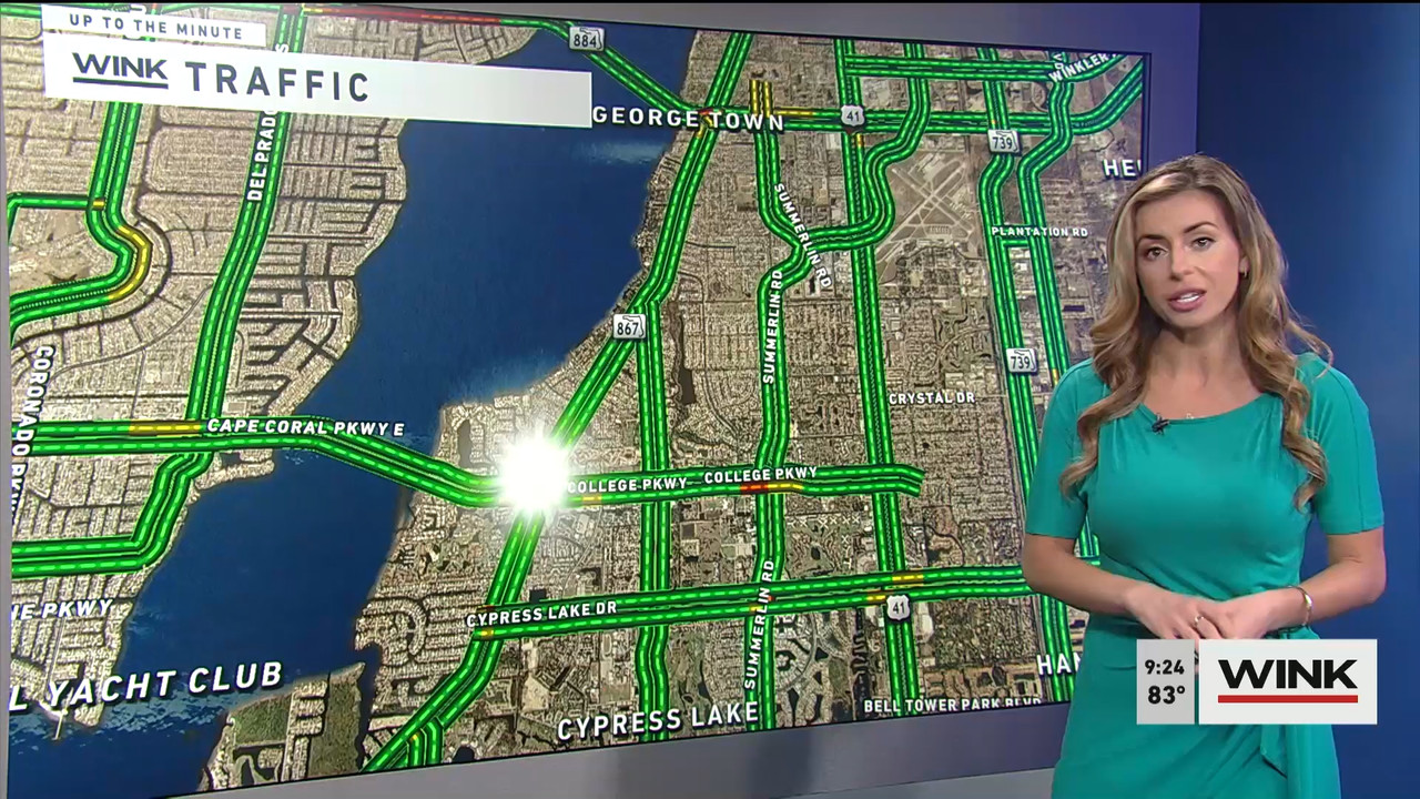 WINK News at 9 00 a.m. 2022_07_30_14_00_00.ts_snapshot_00.27.22.790