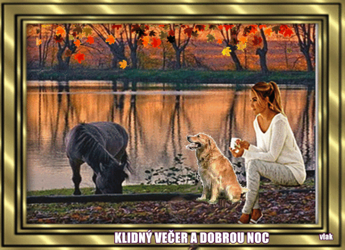 An den Beitrag angehängtes Bild: https://i.postimg.cc/J4Yv8shZ/11-11.gif