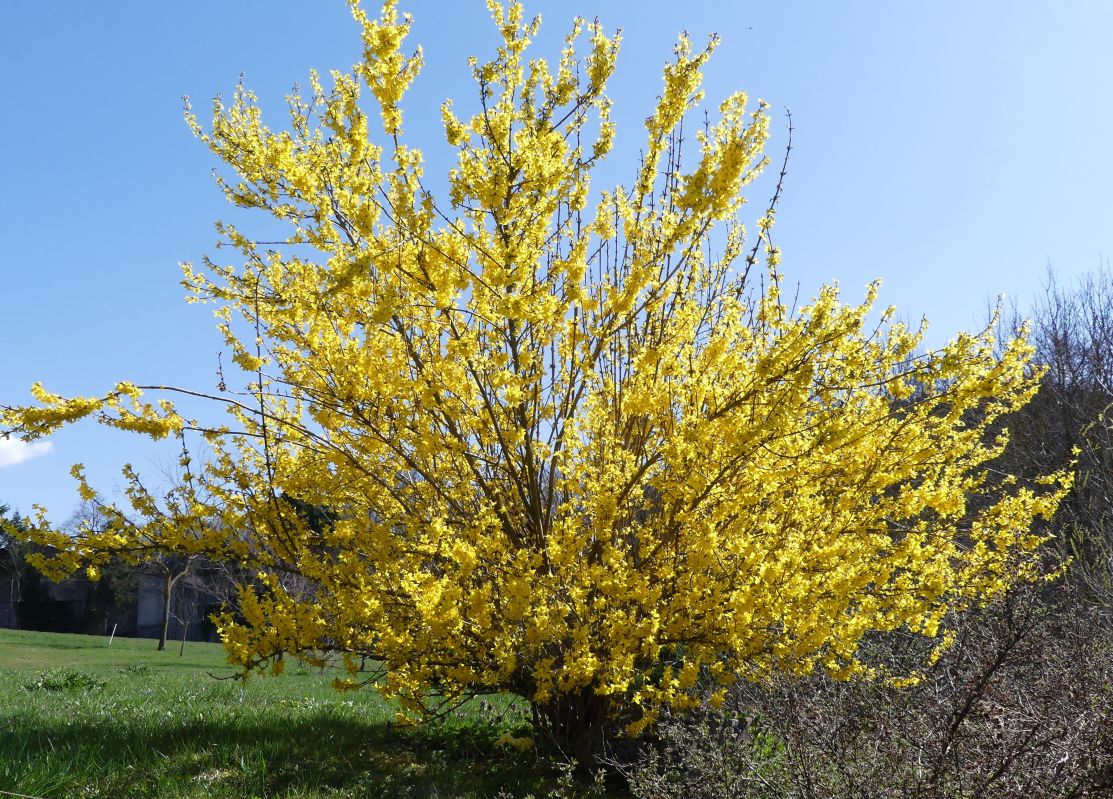 P1100349.jpg