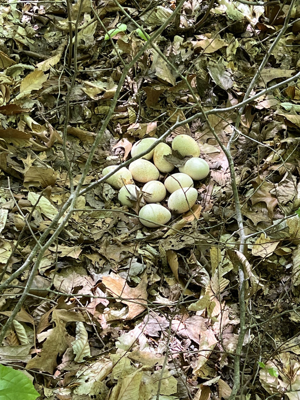 37404016-7DFF-4C16-A205-5AA0DA25BCEB