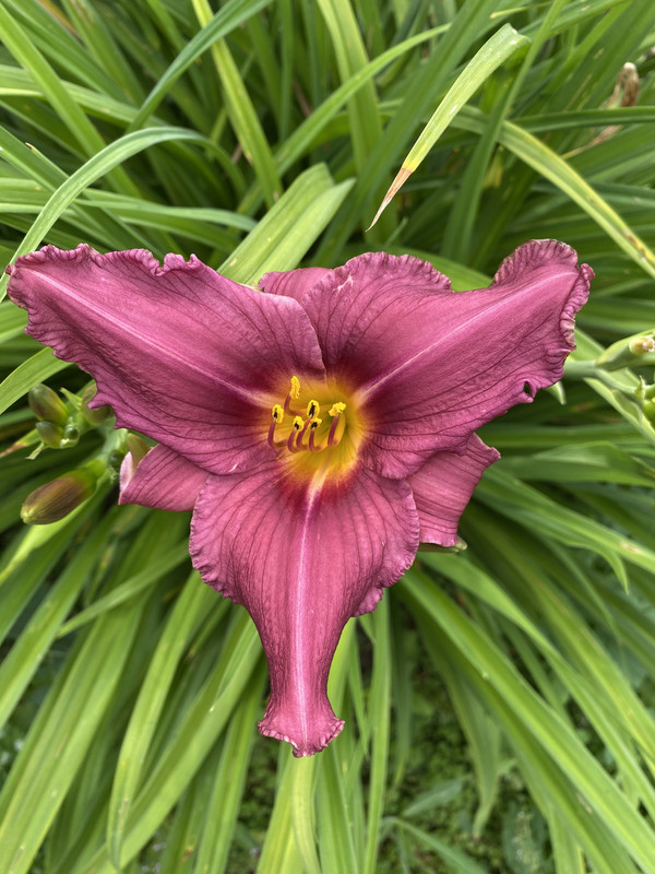 36BE4BD0-BD5F-4D82-97A3-BFF737EB218F