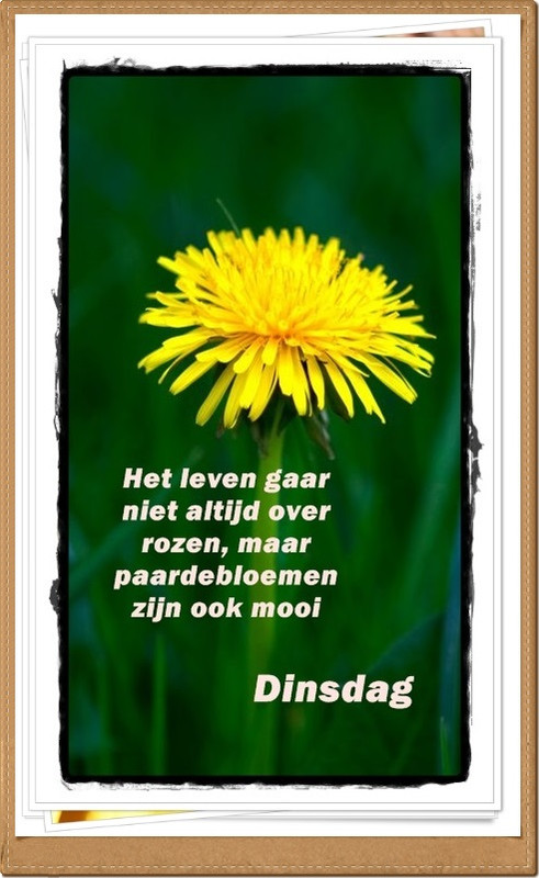 welkom opblog Bunic Jos