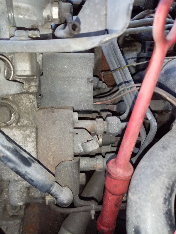 300002168_1307263006682771_1106565912799286752_n