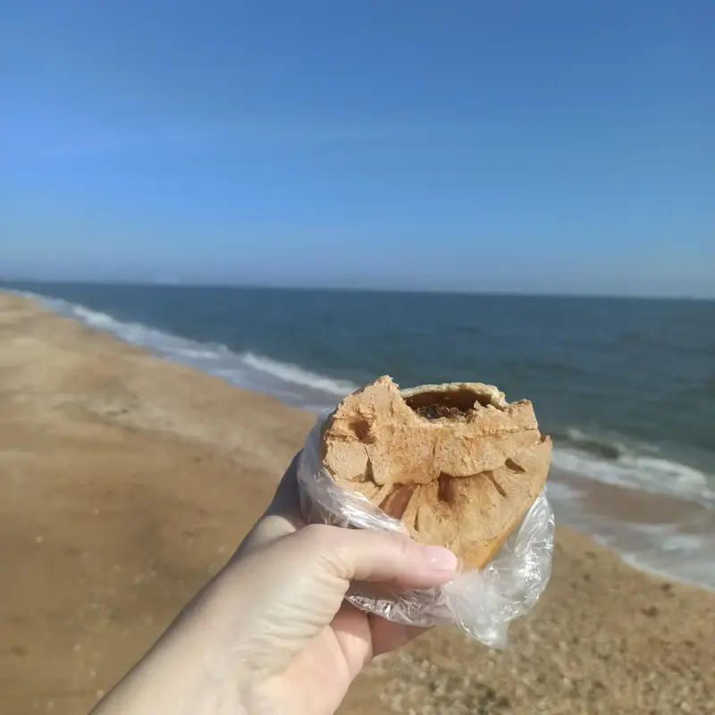 IMG_20230224_153232_164