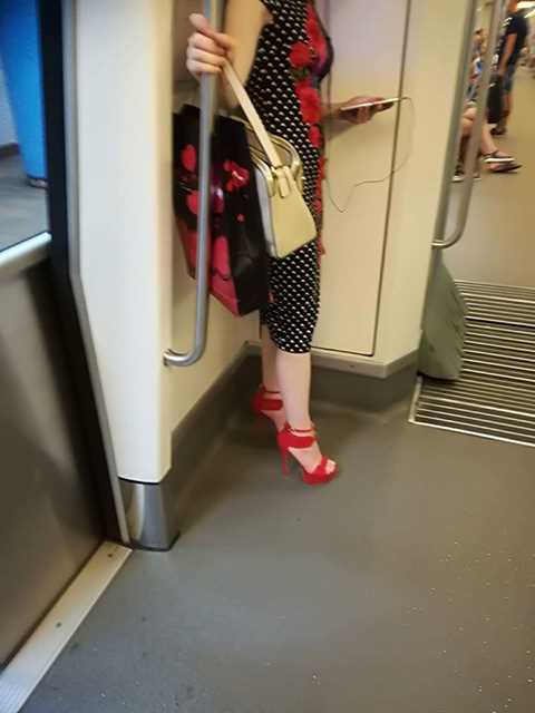 53636658_387221742096931_684930159953838080_n_387221735430265