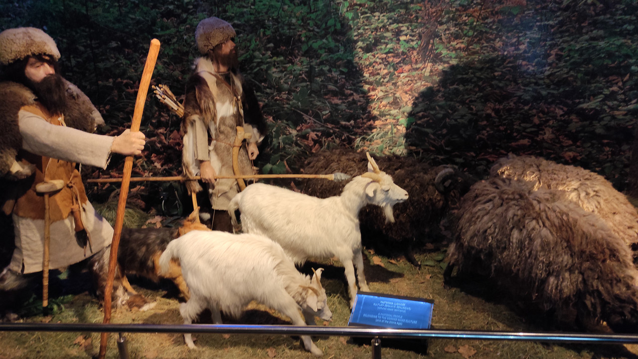 05.03 - IMG_20220617_144007 (Czesio1)