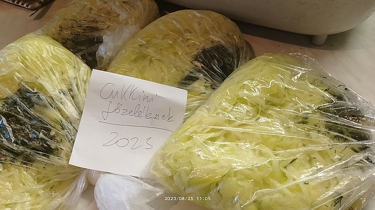 https://i.postimg.cc/J4ZsWSDF/cukkini-fozeleknek-telre-2023.jpg