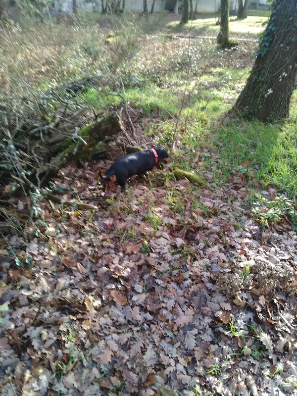 [Image: IMG-20230115-145803.jpg]