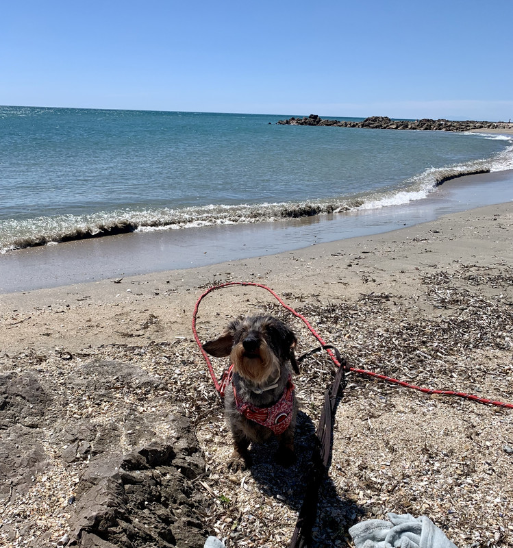 [Image: IMG-2864.jpg]