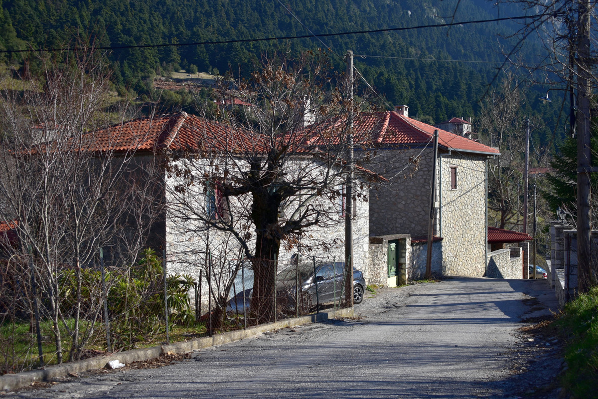 Βάργιανη (5)
