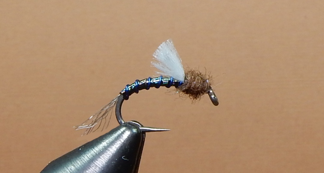 BR-Black-Rainbow-Baetis-Emerger-1080.jpg