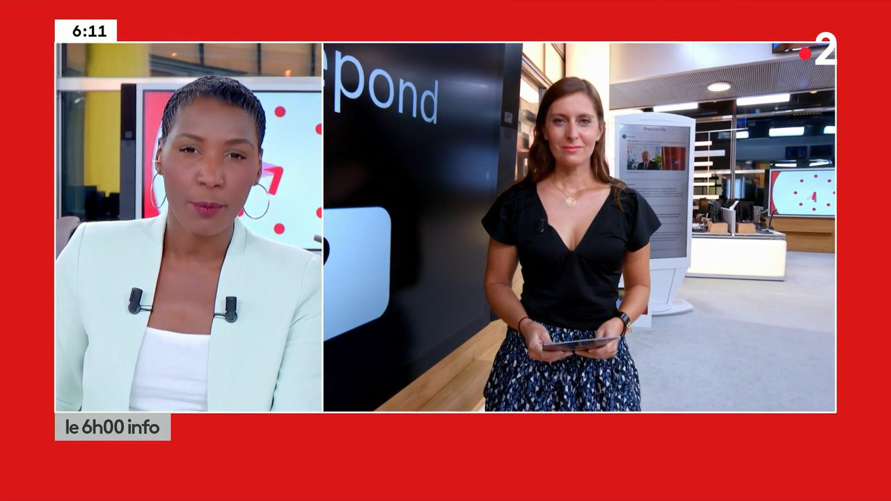 Lise Vogel 110820.mp4_snapshot_00.03_[2020.08.11_17.26.45]
