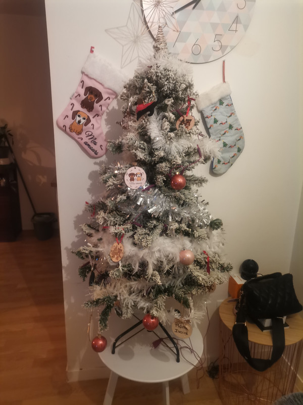 [Image: IMG-20241201-200202.jpg]