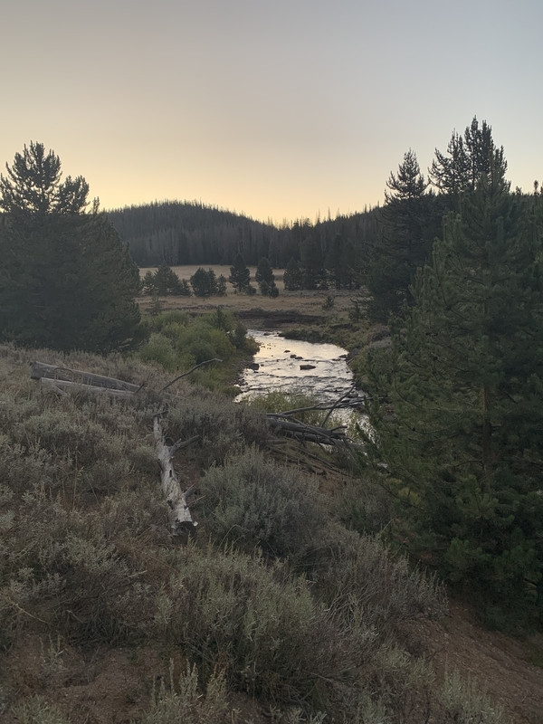 0B0C80B0-EBB0-4E3D-89DA-CA313B9CA975