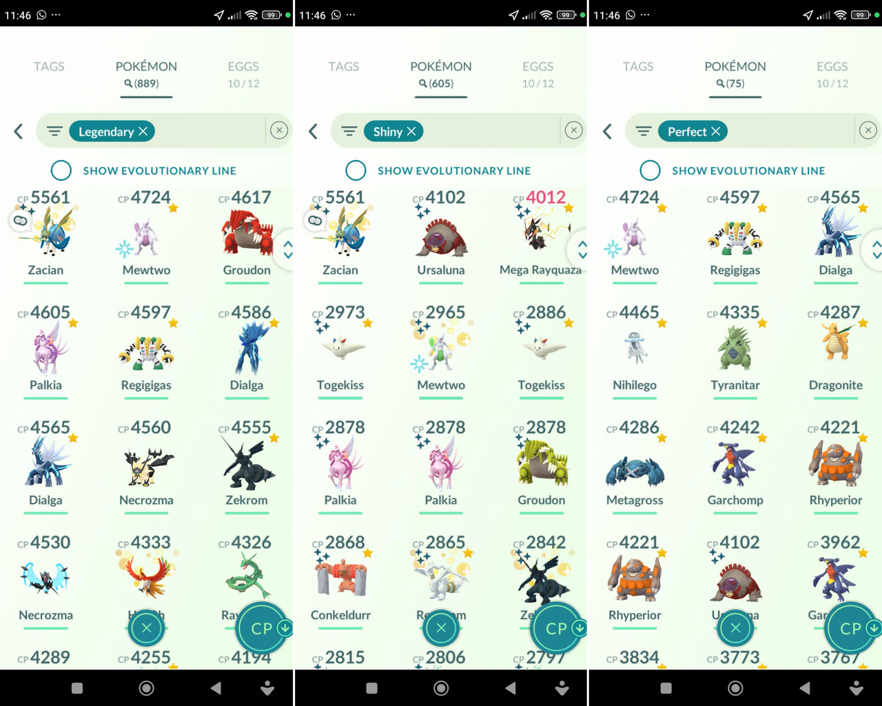 Polish 20260224 115511943