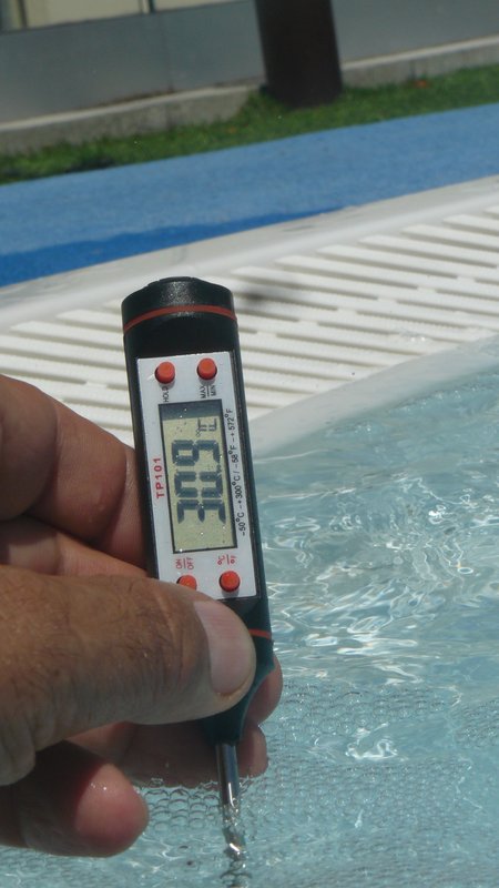 [Obrazek: P1110619.jpg]