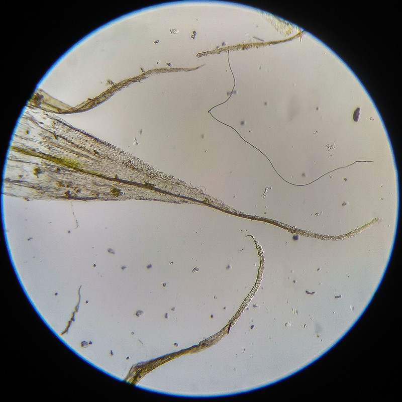 IMG 20250614 124232 HDR