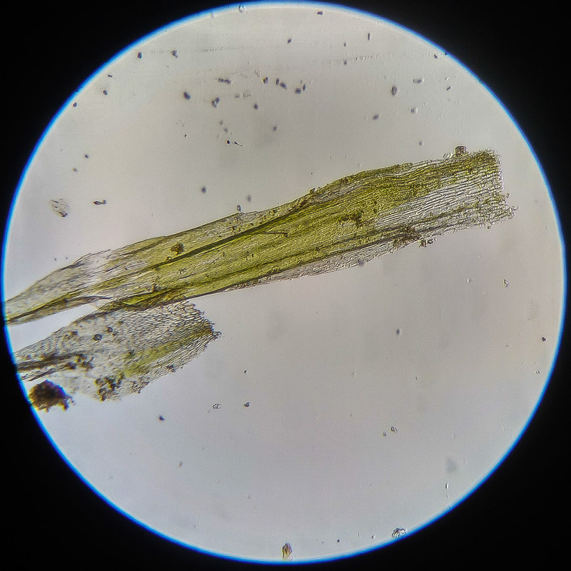 IMG 20250614 124220 HDR