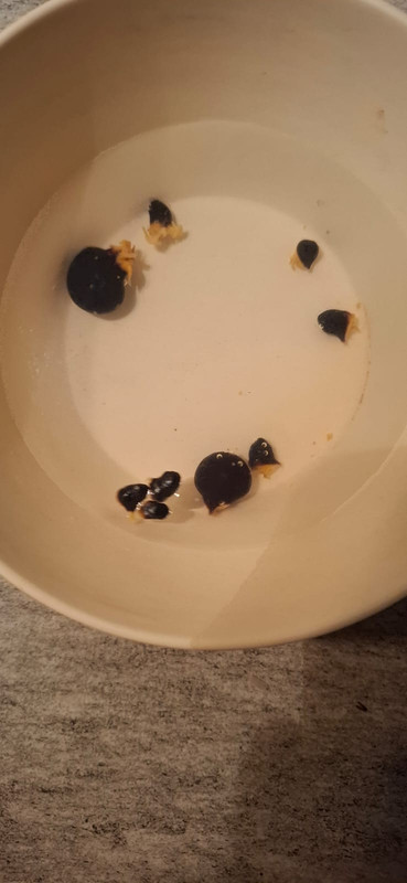 Whats App Image 2025 12 30 at 6 47 42 PM