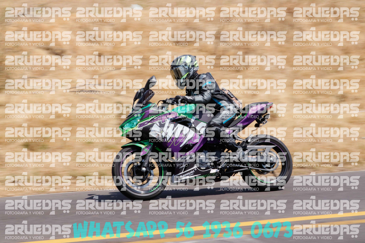 MG 0330 — Postimages