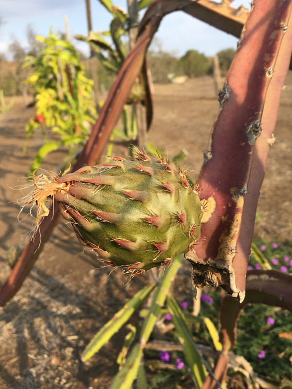 4AEE97B8-FDC5-4609-ADEF-64BFAFF17D76