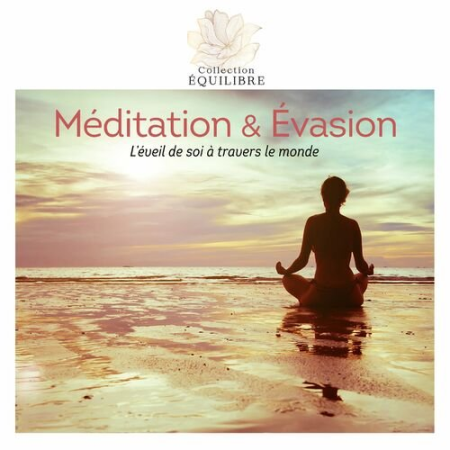 VA - Meditation & Evasion (2022)