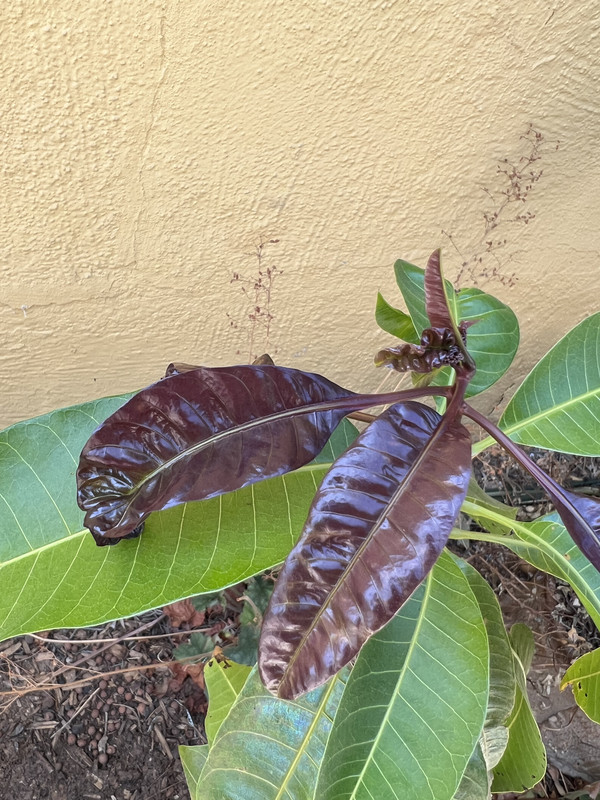 EF6C9E1E-5BC5-45AC-9F66-D438E0E12677