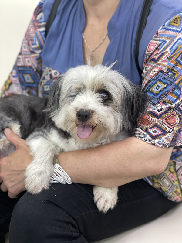 3F199A4B-1491-45F2-90FF-01BD481149A1