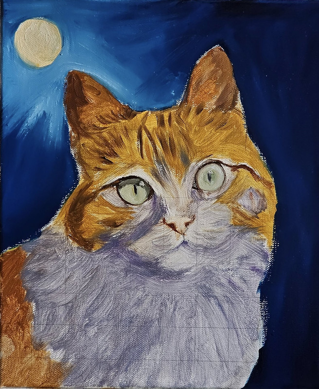 576518581-884850360555298-983168580074670020-n