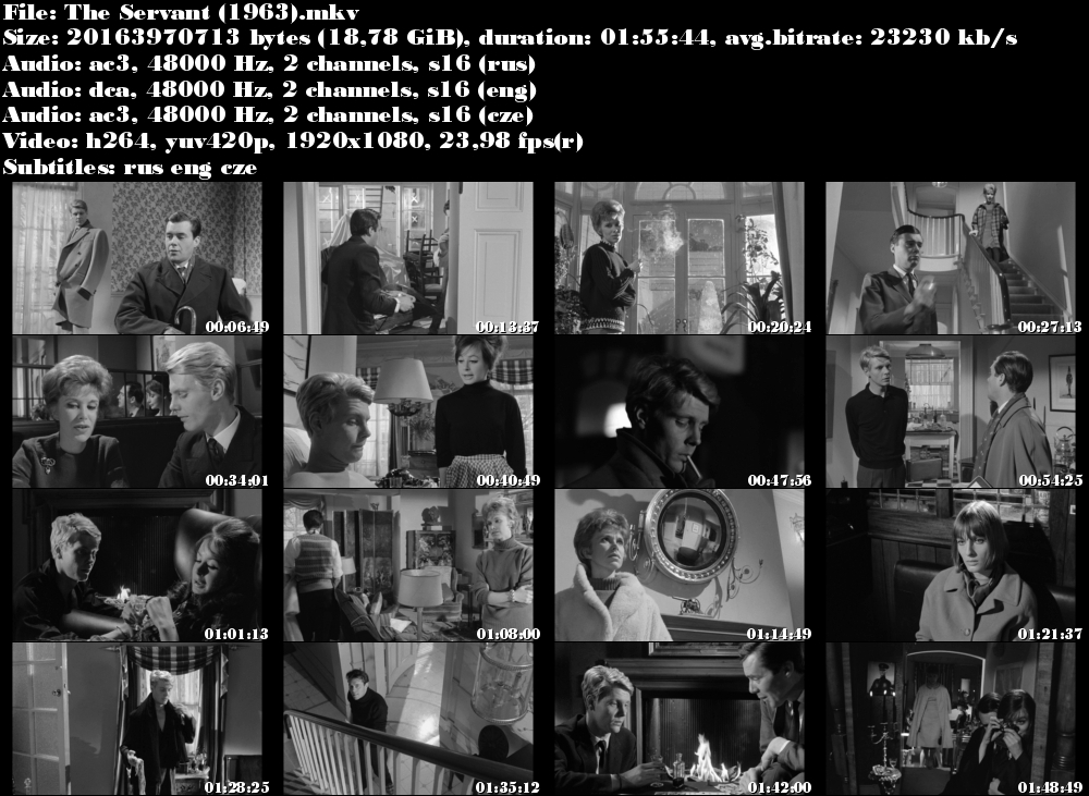 Sluha / The Servant (1963)