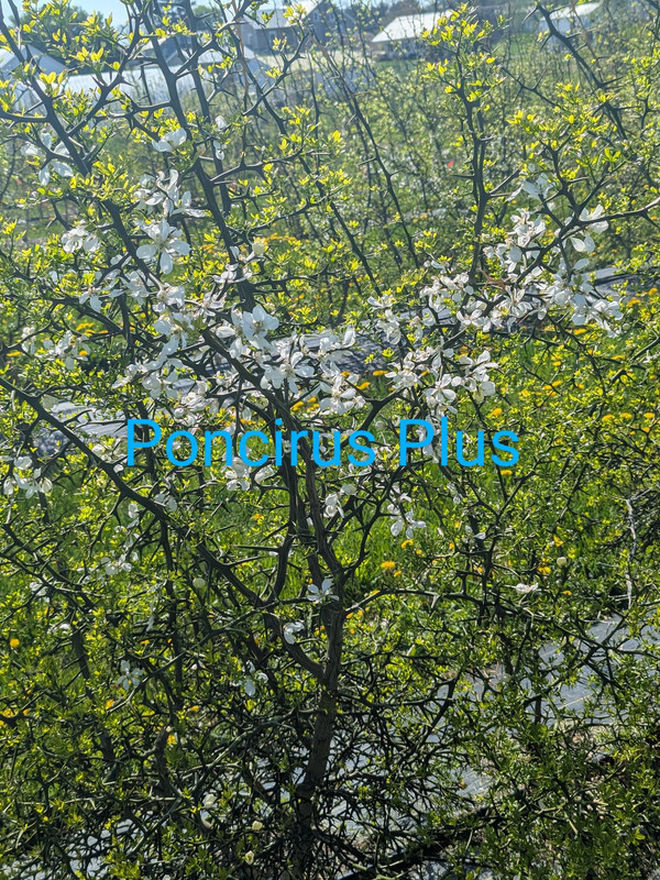 PXL_20250423_194244505~2