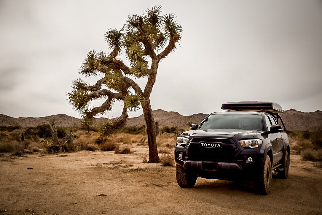 749F31EE-AF6B-4DE4-B344-A7C7BE12F587_1_105_c