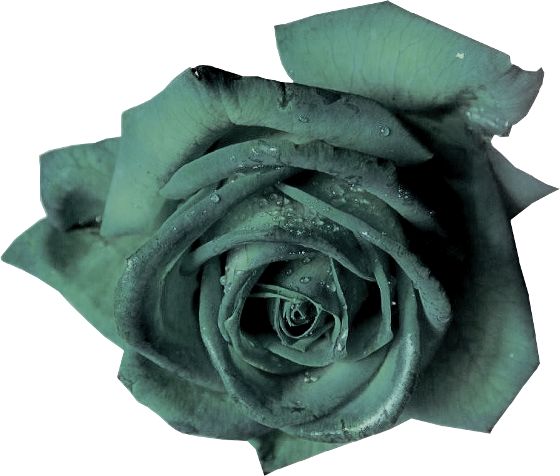 Autumn Witchery (102)