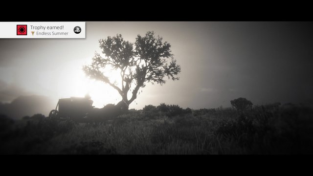 Red Dead Redemption 2_20200430113352