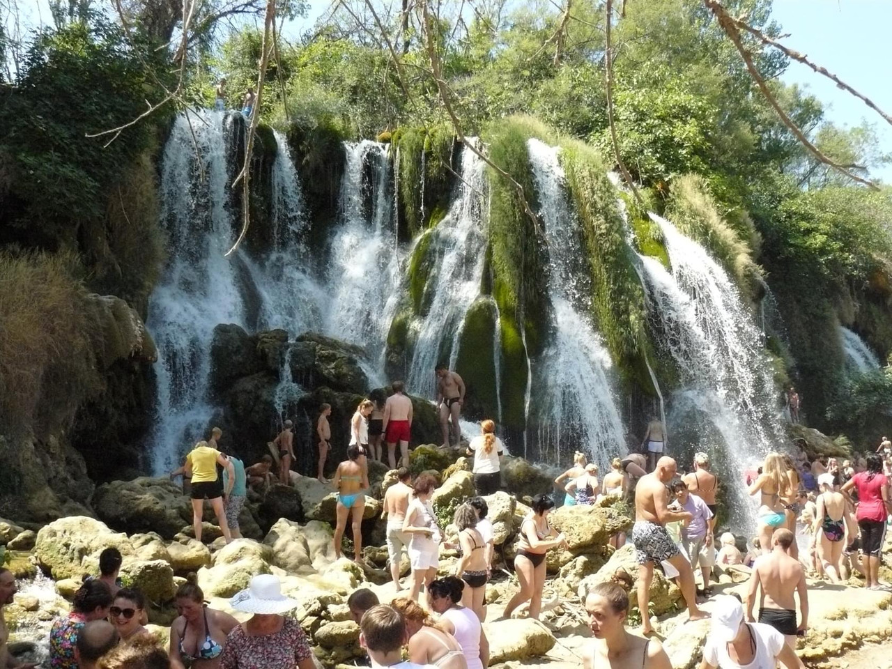 [Obrazek: 8d444fbacbbf7f36.jpg]