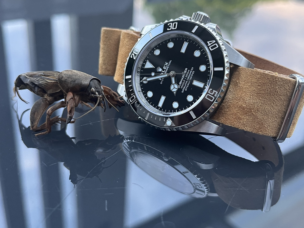 FB5D7198-9F9F-46C7-A375-57F63E705AF1