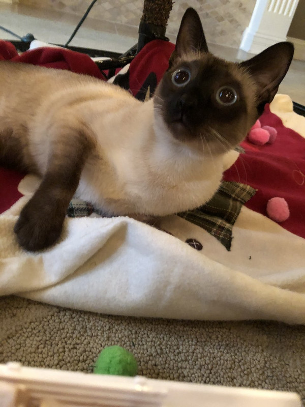 5A077B5A-9F87-4EDD-A0CE-DD13DDCAE627