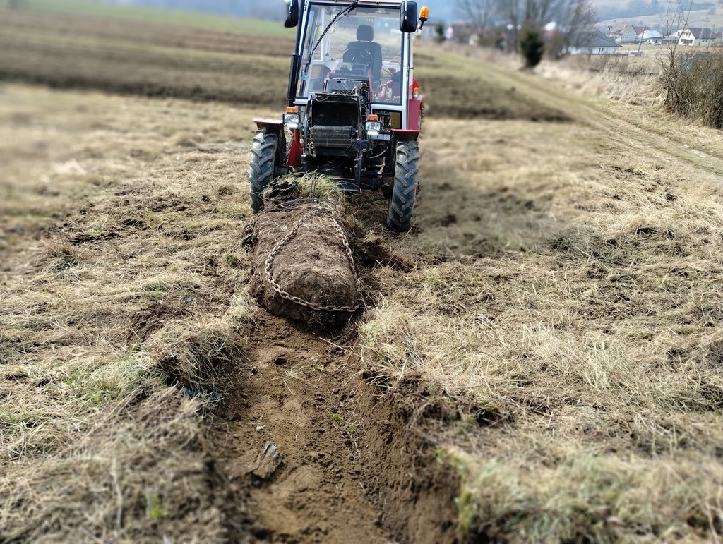 IMG_20250310_105925183_PORTRAIT