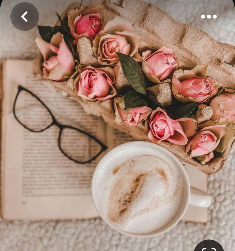 Screenshot_20230622_011134_Pinterest