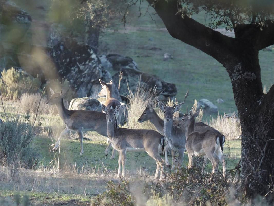 8CBB8174-7E3B-4A06-97A9-10715768B0CE