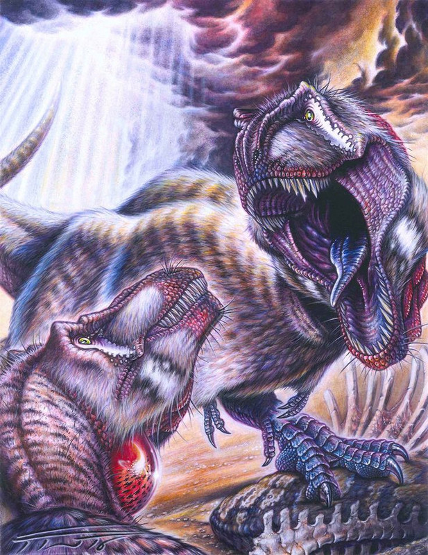 5221dbafccf2ab3a67eeb9d75854ca40