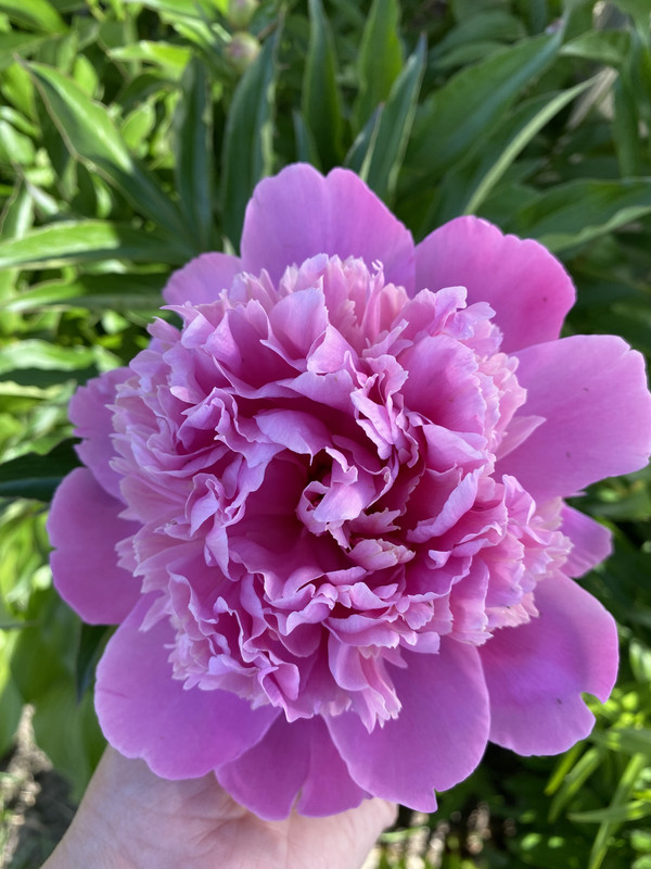 CF61EF6E-0DA0-4306-B4F6-896E5E7548C9