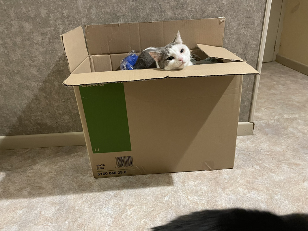 IMG-26e740fccfbfc151512a2dc22d75c45f-V