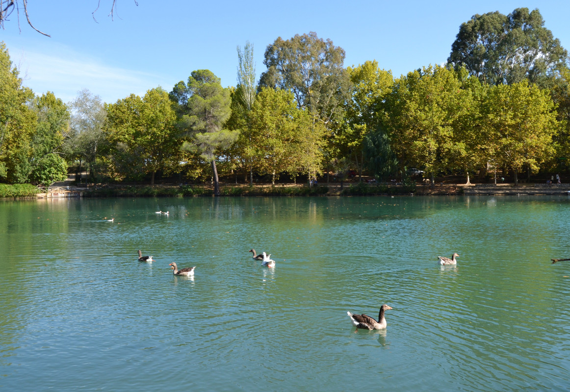 Albufera-Anna