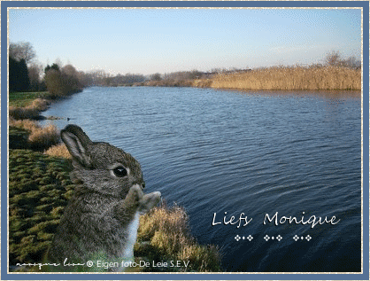 Eigen-foto.gif